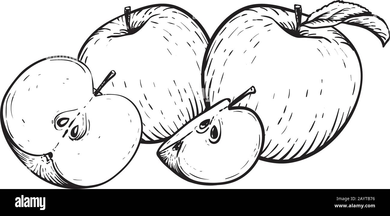 Media manzana dibujo vectorial imãgen vectorial de stock
