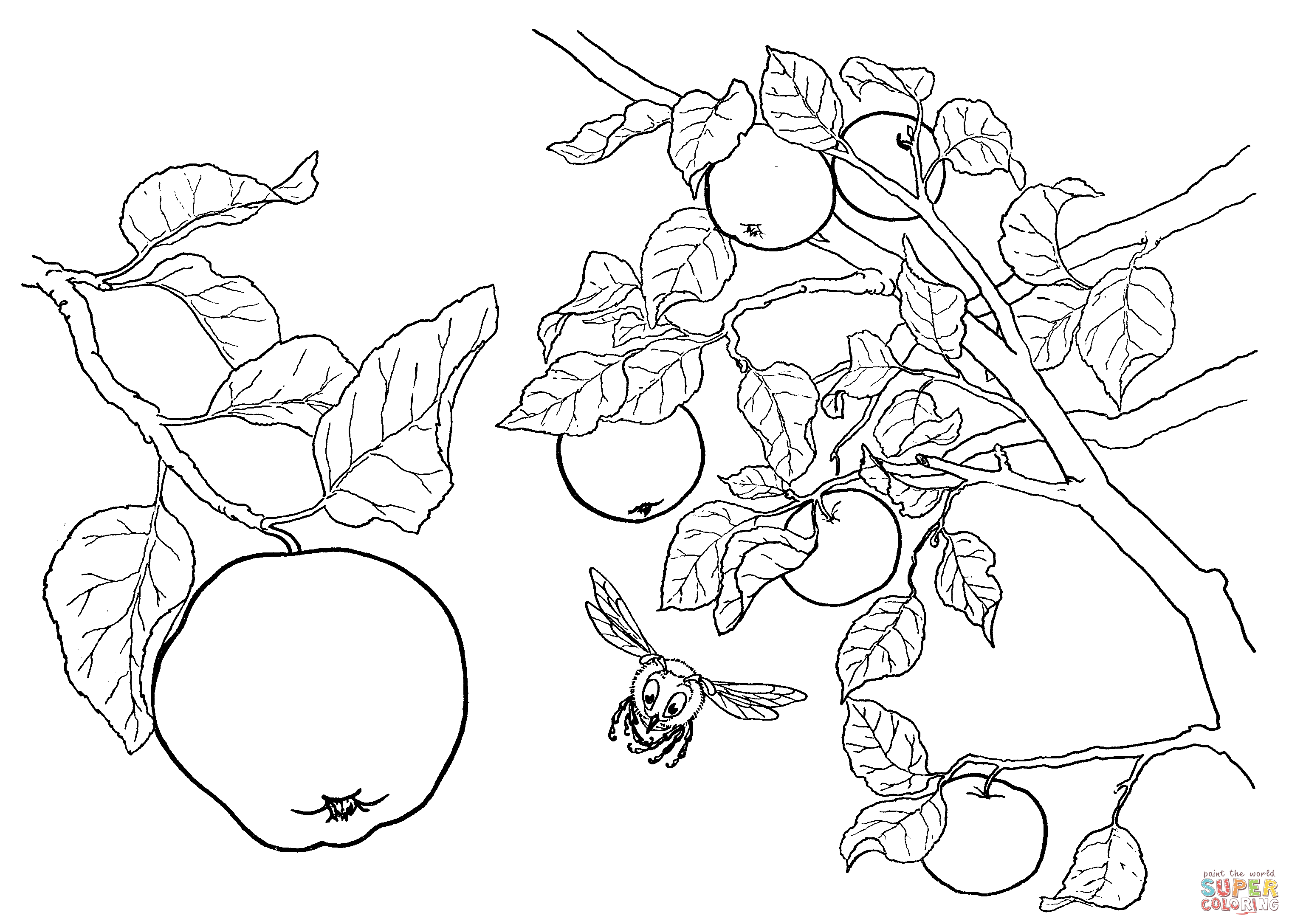 Dibujo de manzanas en el ãrbol para colorear dibujos para colorear imprimir gratis