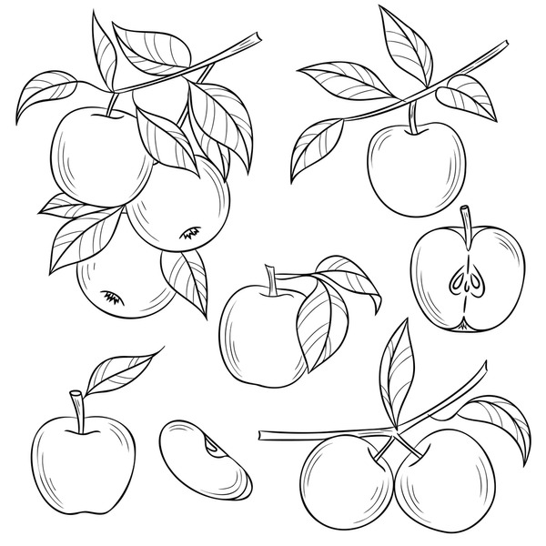 Imãgenes fotos de stock objetos en d y vectores sobre apple tree line drawing