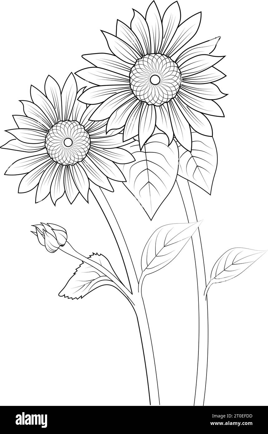 Plantilla de contorno de tatuaje de girasol plantilla de dibujos contorno de girasol contorno de girasol dibujo fãcil decoraciãn de la pared de girasol hoja para colorear de girasol imagen vector de