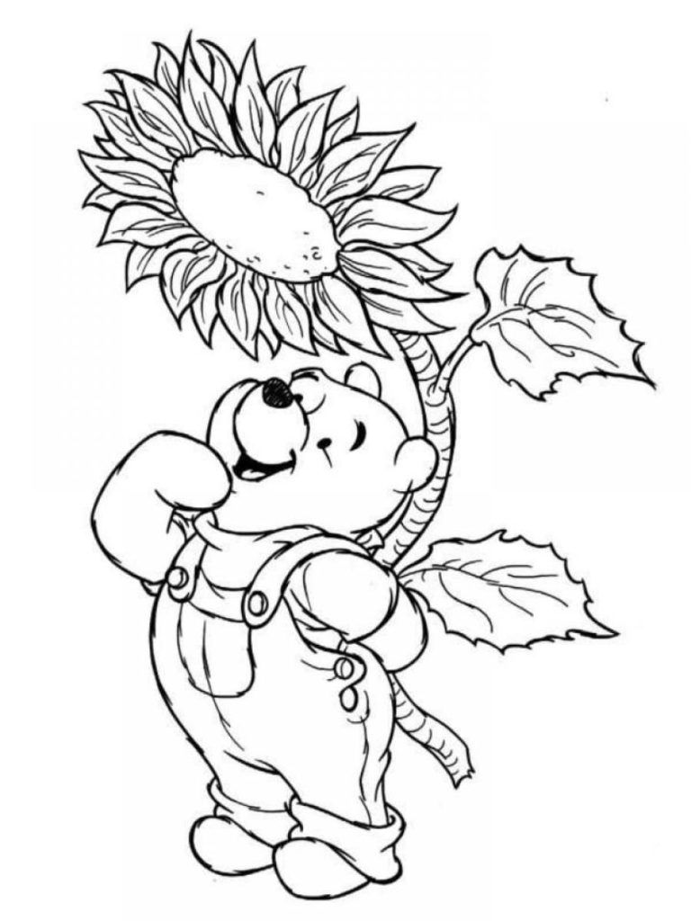 Printable coloring pages rose coloring pages spring coloring pages fall coloring pages
