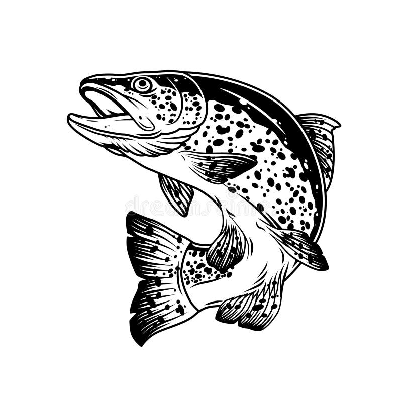 Jumping trout stock illustrations â jumping trout stock illustrations vectors clipart