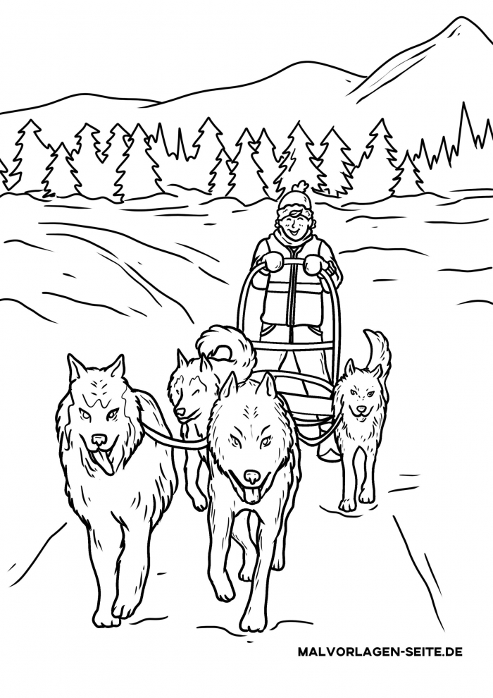 Dog sled coloring page worksheets