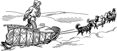 Vintage dog sled coloring page free printable coloring pages