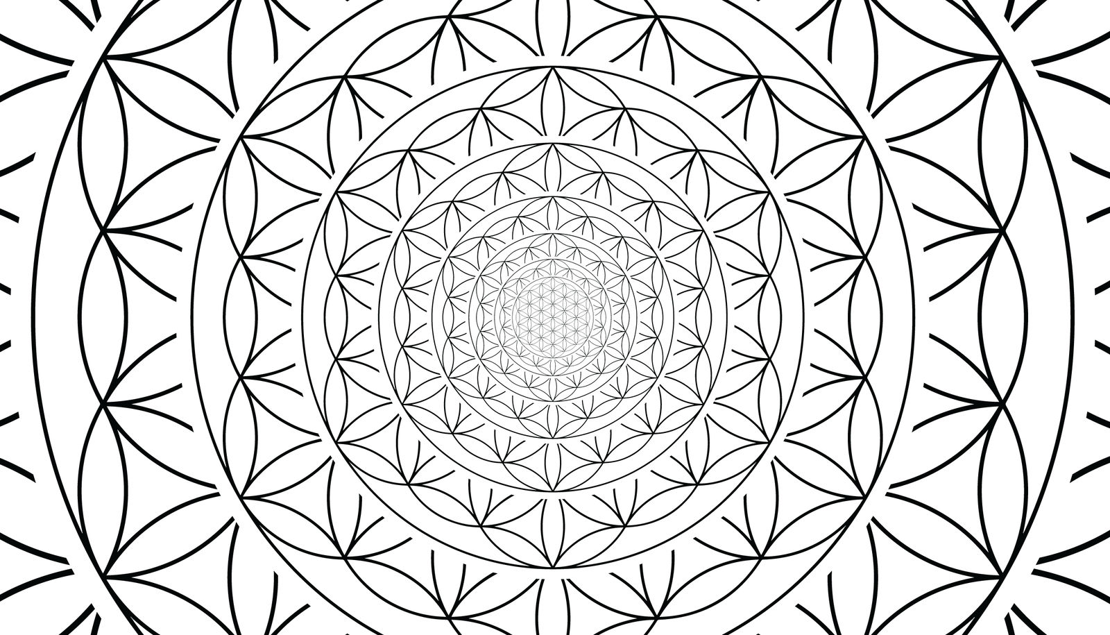 Flower of life sacred geometry illusion by publishedproductions on