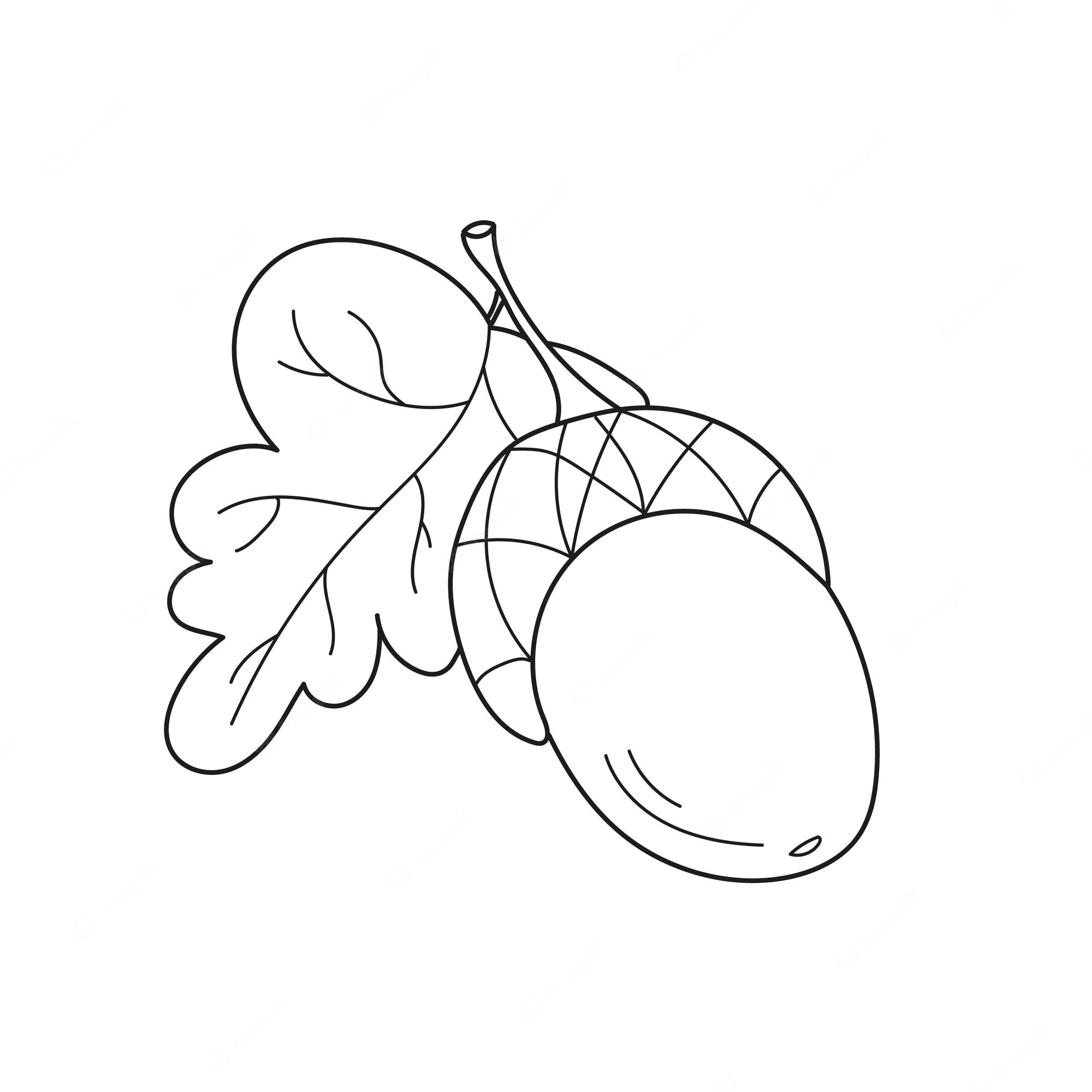 Premium vector simple coloring page acorn coloring page game for children kids