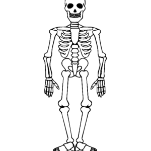 Skeleton coloring pages printable for free download