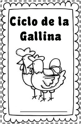 Recursos y actividades para educaciãn infantil ciclo de la vida de una gallina