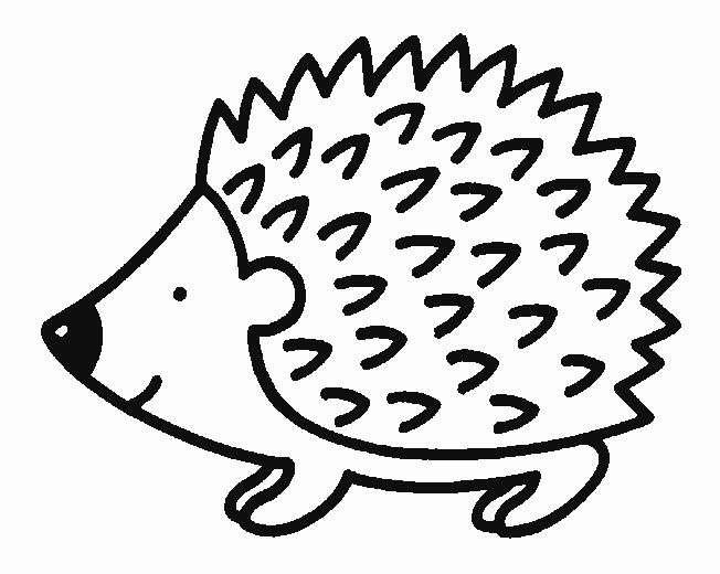 Pintdesenho hedgehog craft coloring pages coloring pages for kids