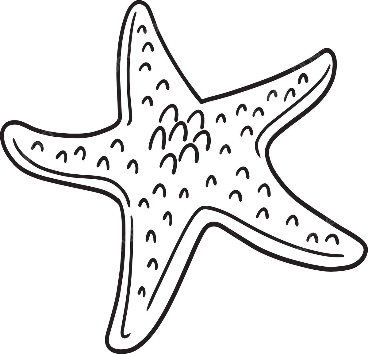 Dibujo de trella mar aislada pãgina para colorear niãos arte nião coral vector png dibujos dibujo de trella dibujo de coral dibujo del mar png y vector para dcargar gratis