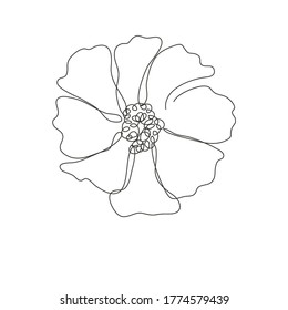 Black line art clarkia flower we stock vector royalty free