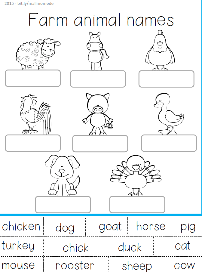 The montgomery county agricultural fair education materials