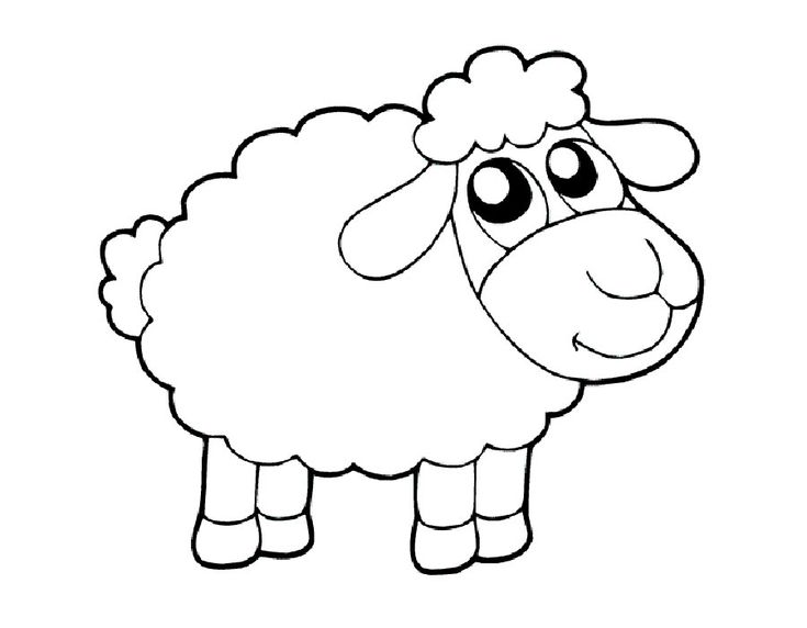 Dibujos de ovejas para colorear e imprimir oveja para colorear dibujo de ovejas animal terrtr para colorear