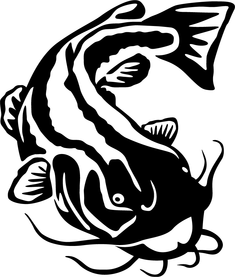Flathead catfish wall or window decal