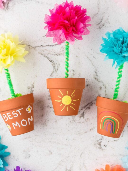 Easy to make tissue paper flowers
