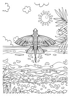 Flying fish coloring pages ideas fish coloring page coloring pages black and white illustration