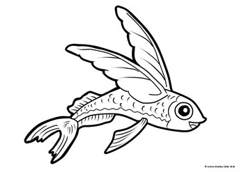 Flying fish colouring page by green monkey tales tpt