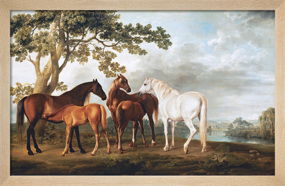 Mares and foals in a river landscape c