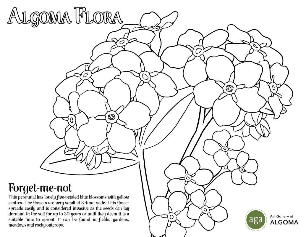 Aga colouring pages