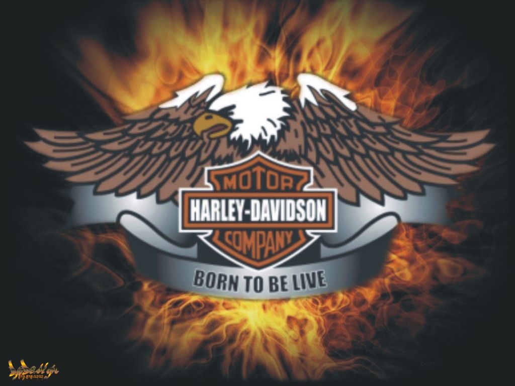 Free harley davidson wallpapers harley davidson wallpaper harley davidson harley davidson motorcycles