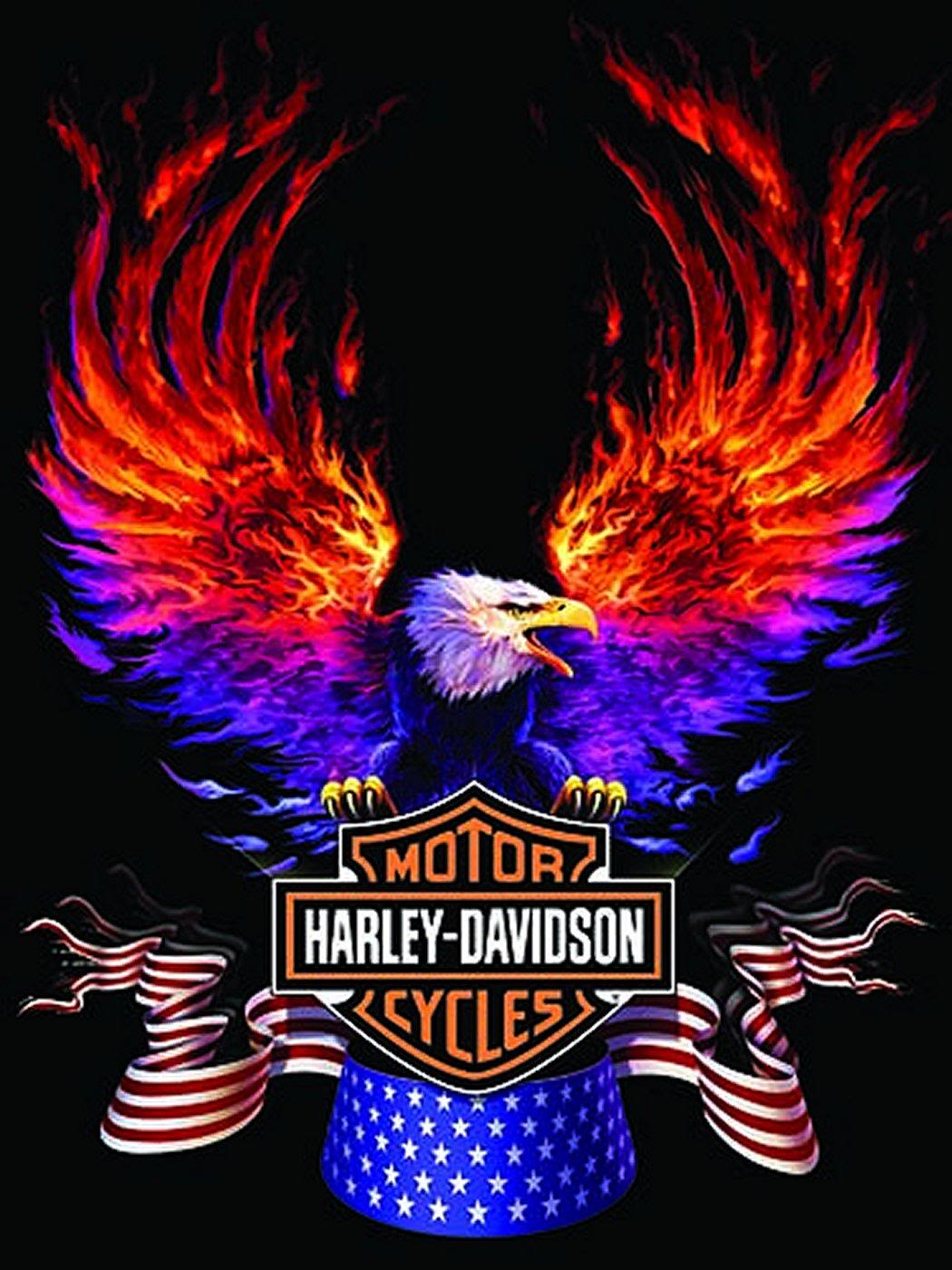 Harley davidson s on