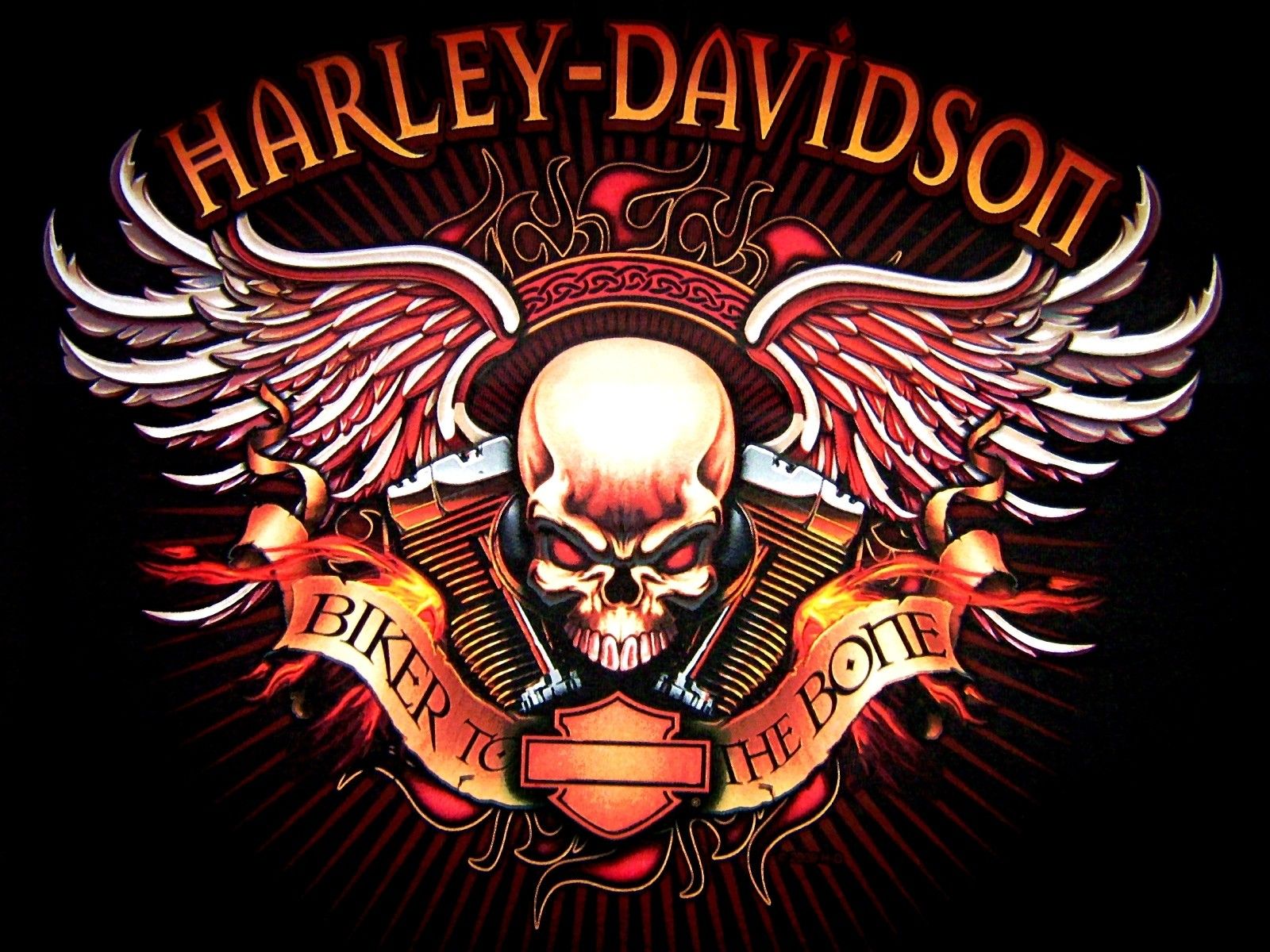 Best of harley davidson live wallpaper free harley davidson wallpaper skull wallpaper harley davidson logo