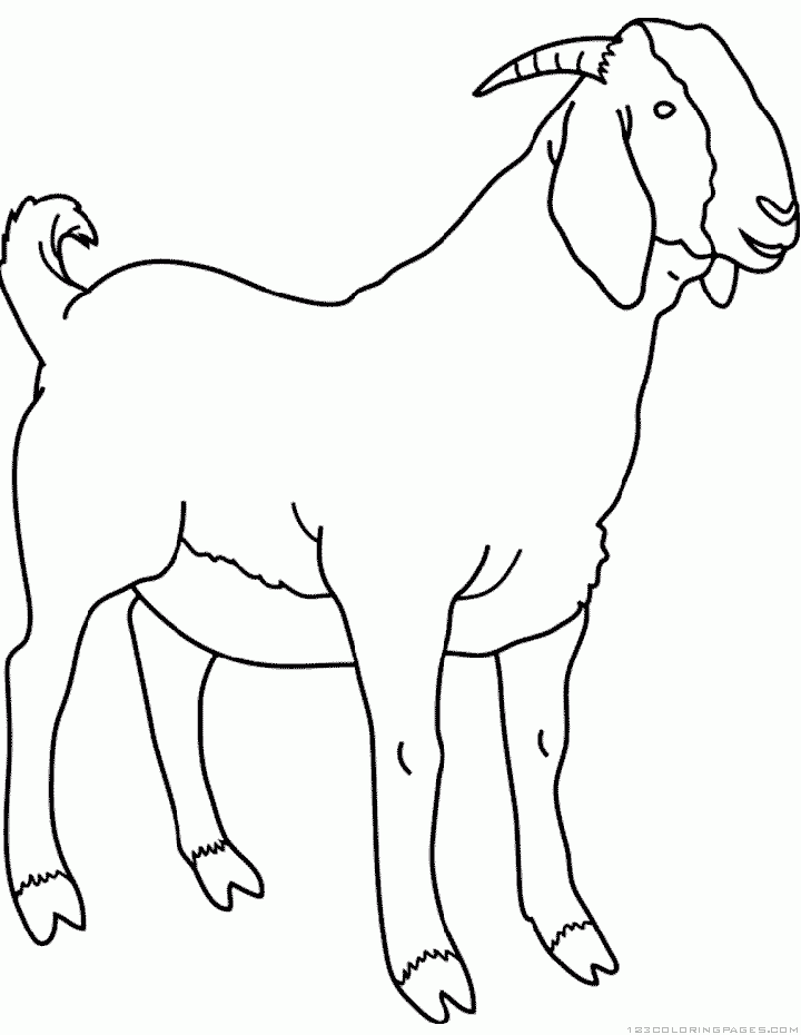 Goat coloring pages