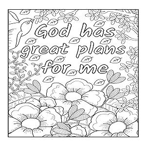 Gods promises to you adult coloring book premium edition keesee freudiger amy books