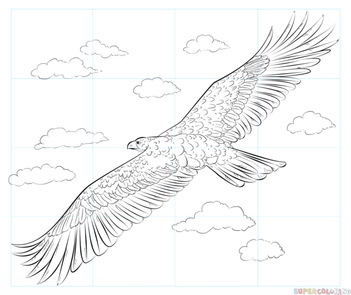 How to draw a golden eagle step by step drawing tutorials