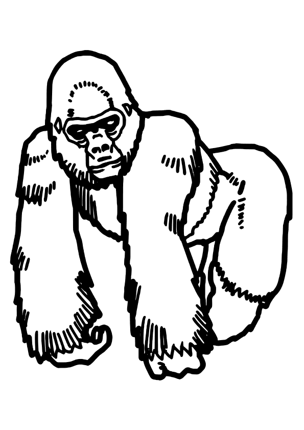Gorilla coloring pages free printable nurie