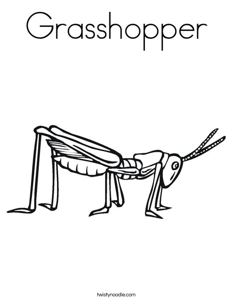 Grasshopper coloring page