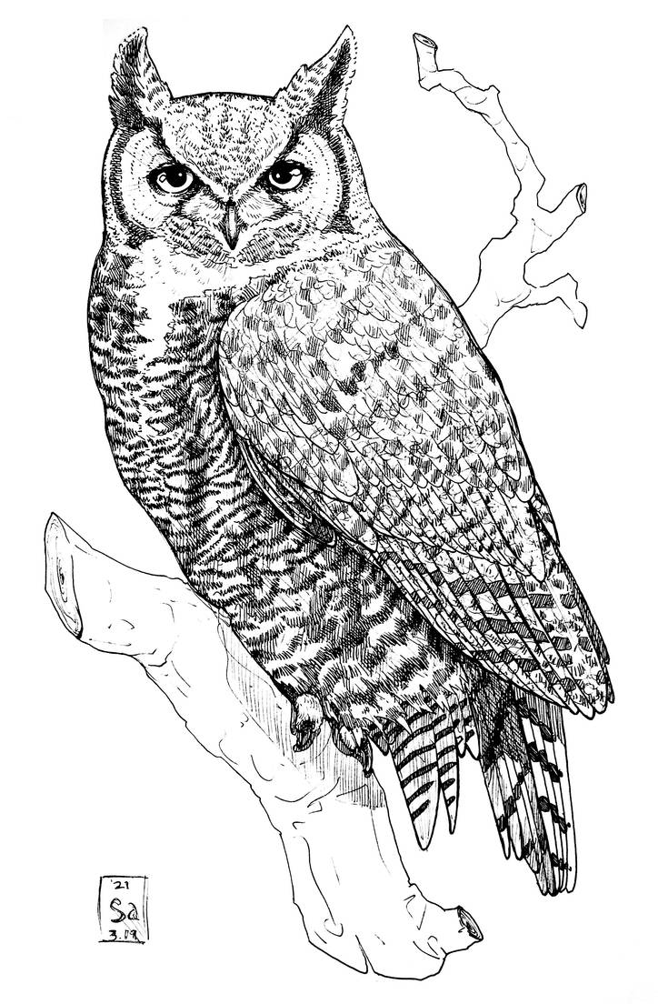 Great horned owl profile ink by veronrishka on