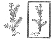 Vintage coloring pages free coloring pages