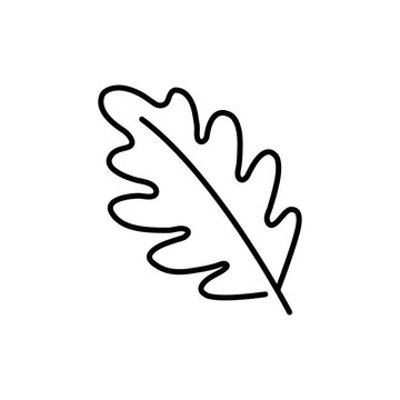 Hoja roble images â browse photos vectors and video