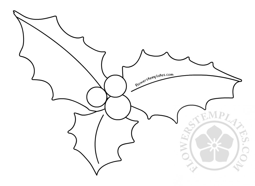 Christmas holly berry coloring page