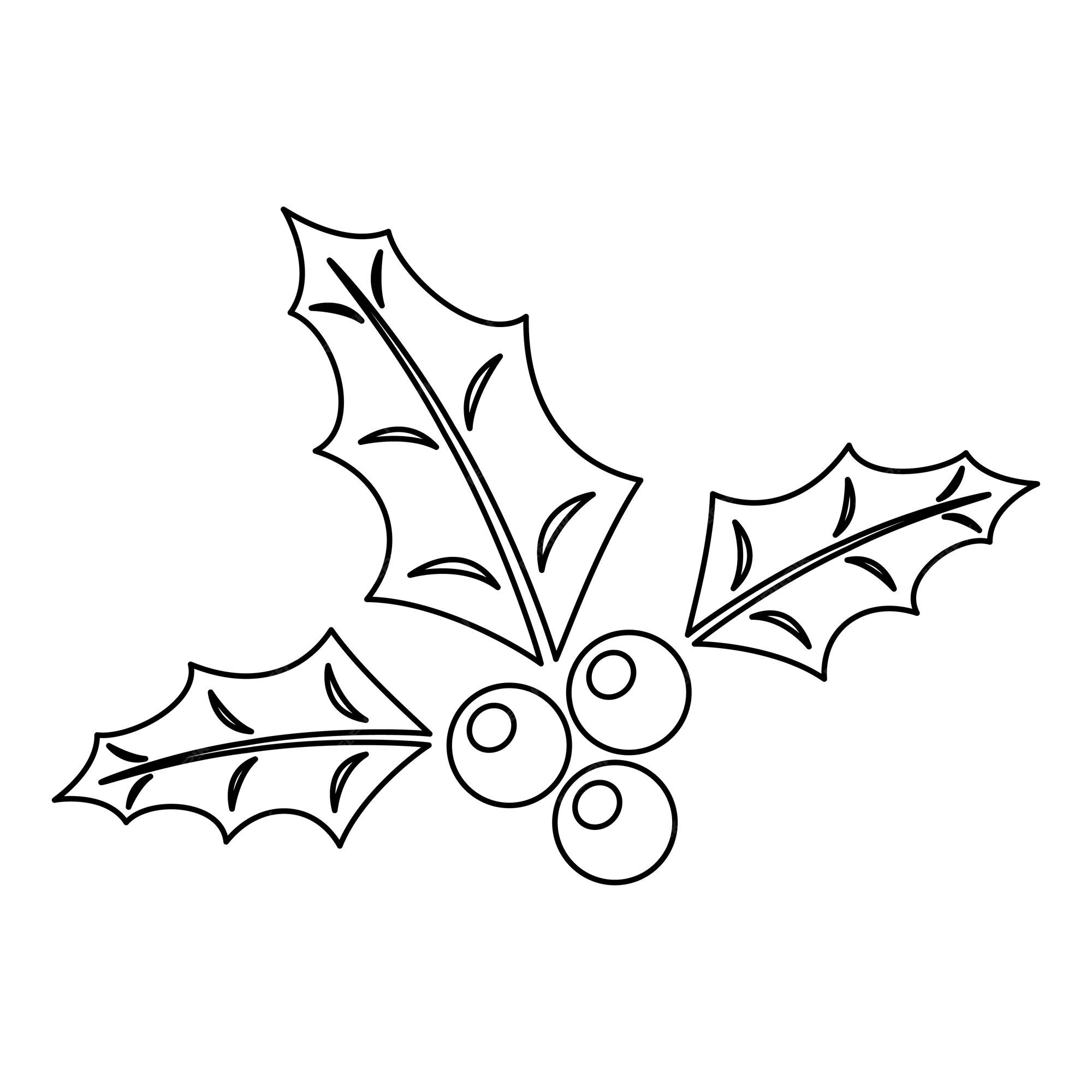 Premium vector coloring page with holly berry for kids