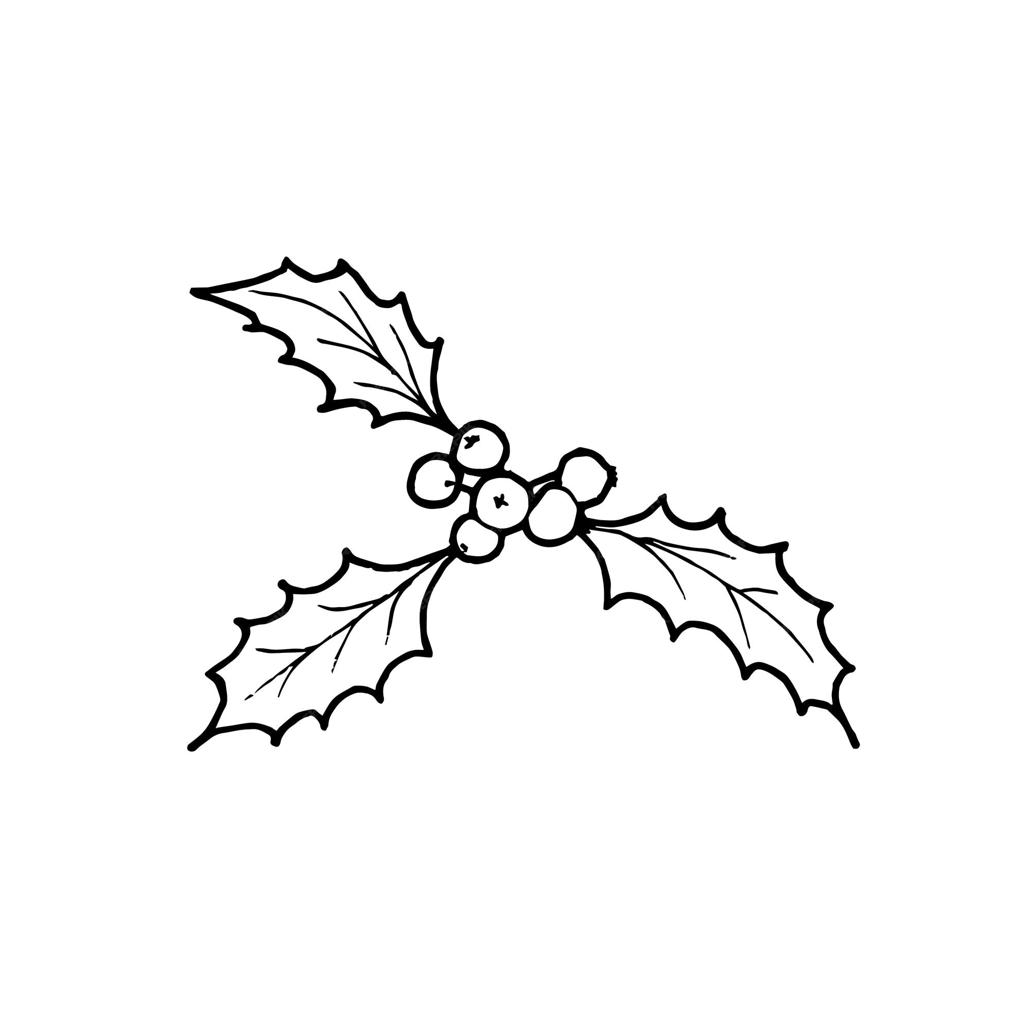 Premium vector black and white image of new years decor berries and holly leaves coloring book for tag