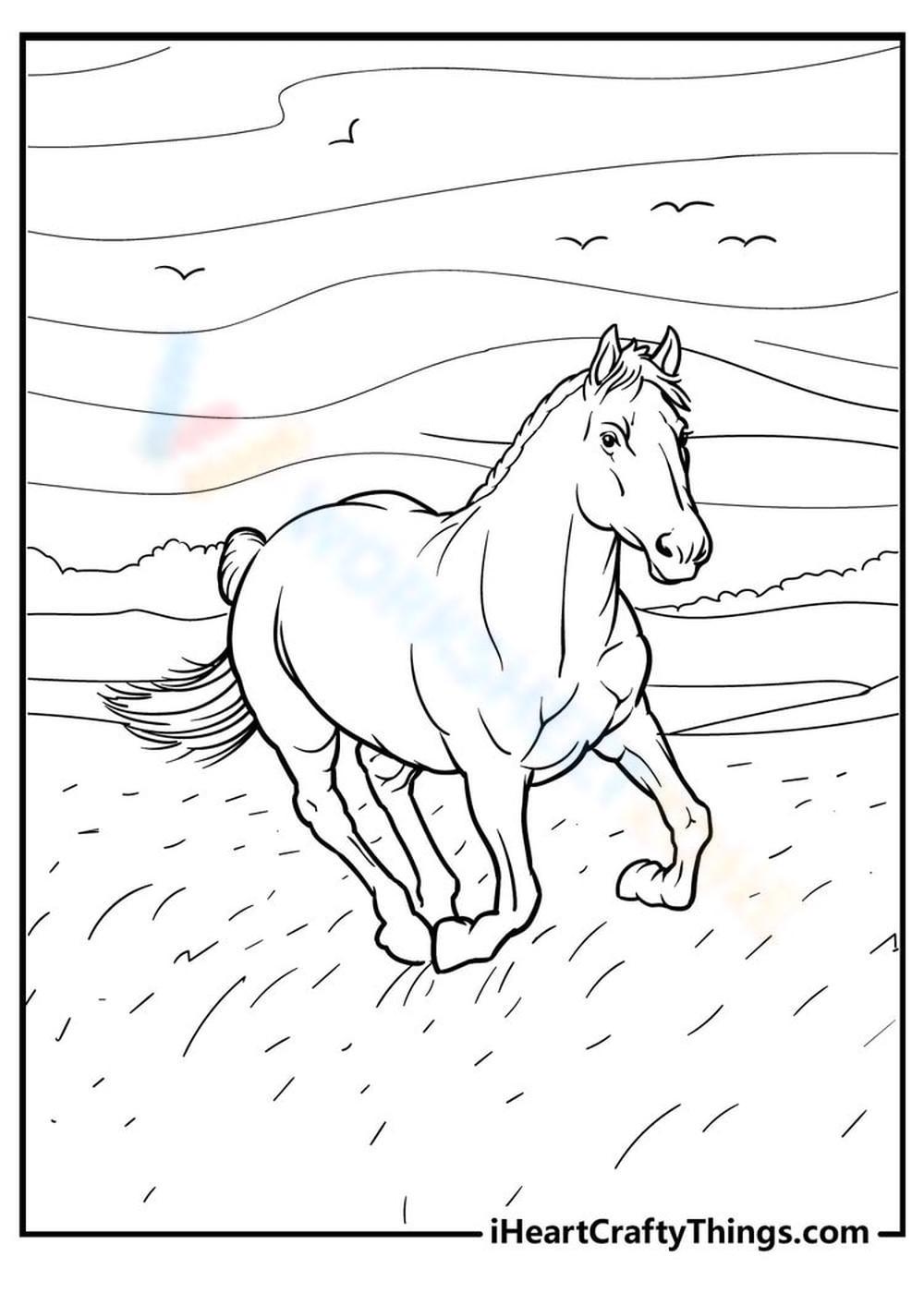Horse running worksheet