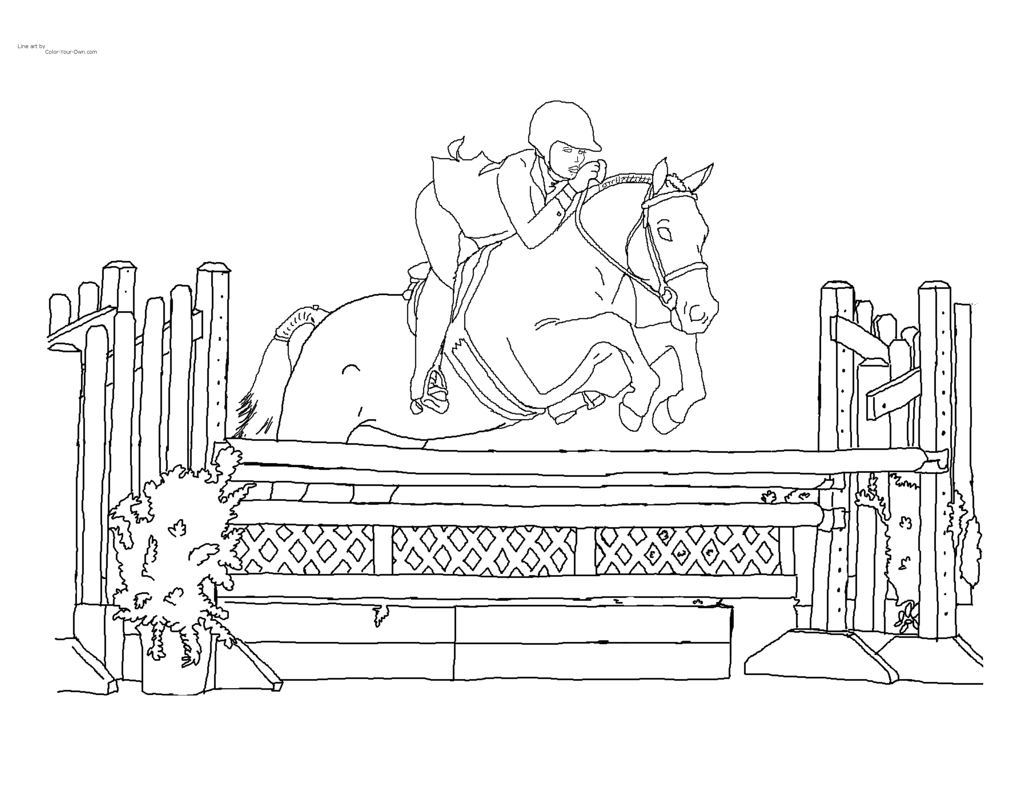 Hunter show pony coloring page