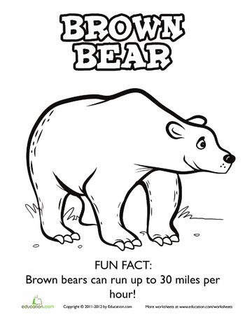 Brown bear worksheet education bear coloring pages kindergarten coloring pages preschool coloring pages