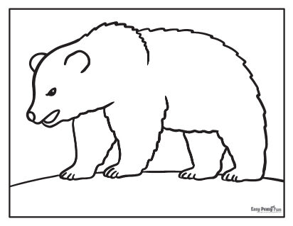 Bear coloring pages