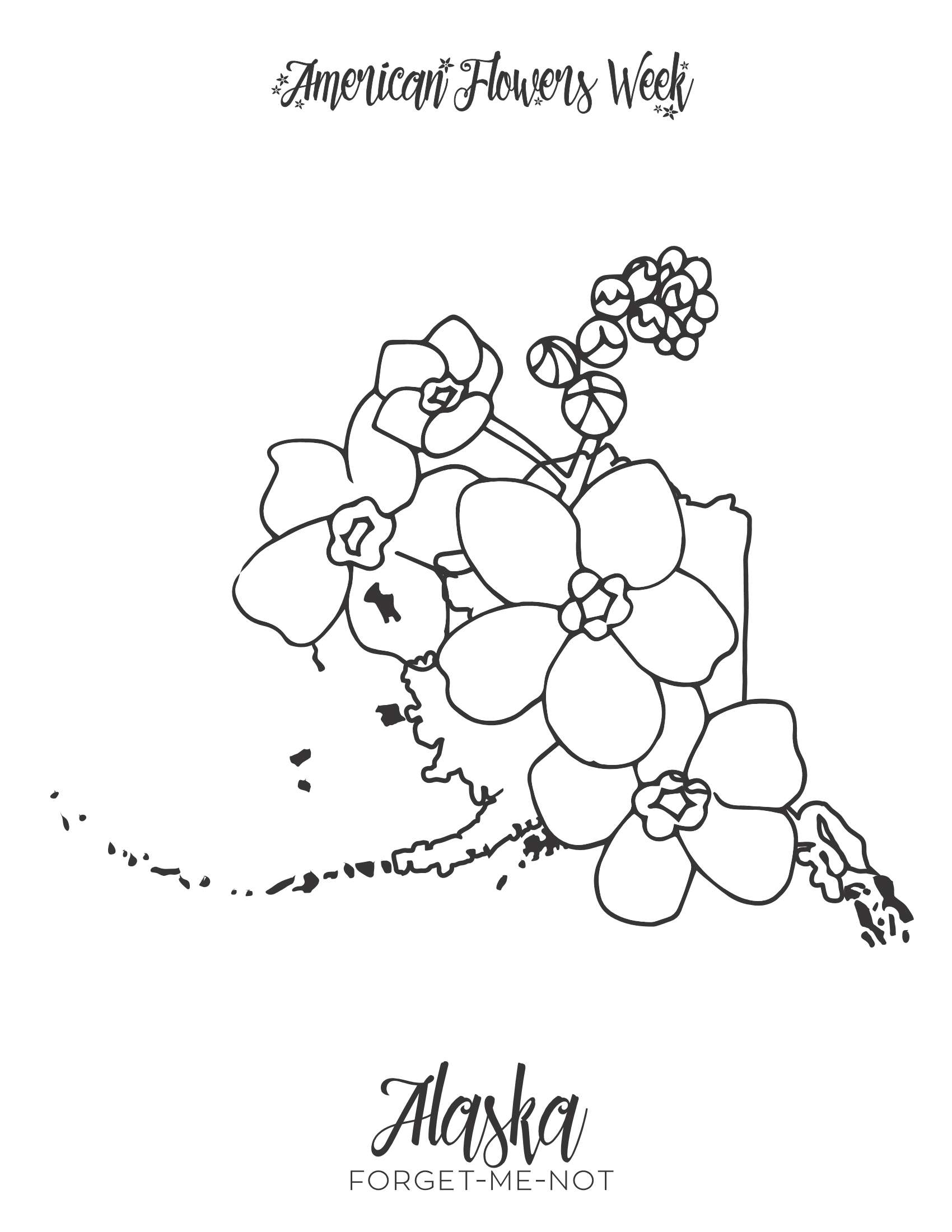 State flowers â free coloring pages â american flowers week