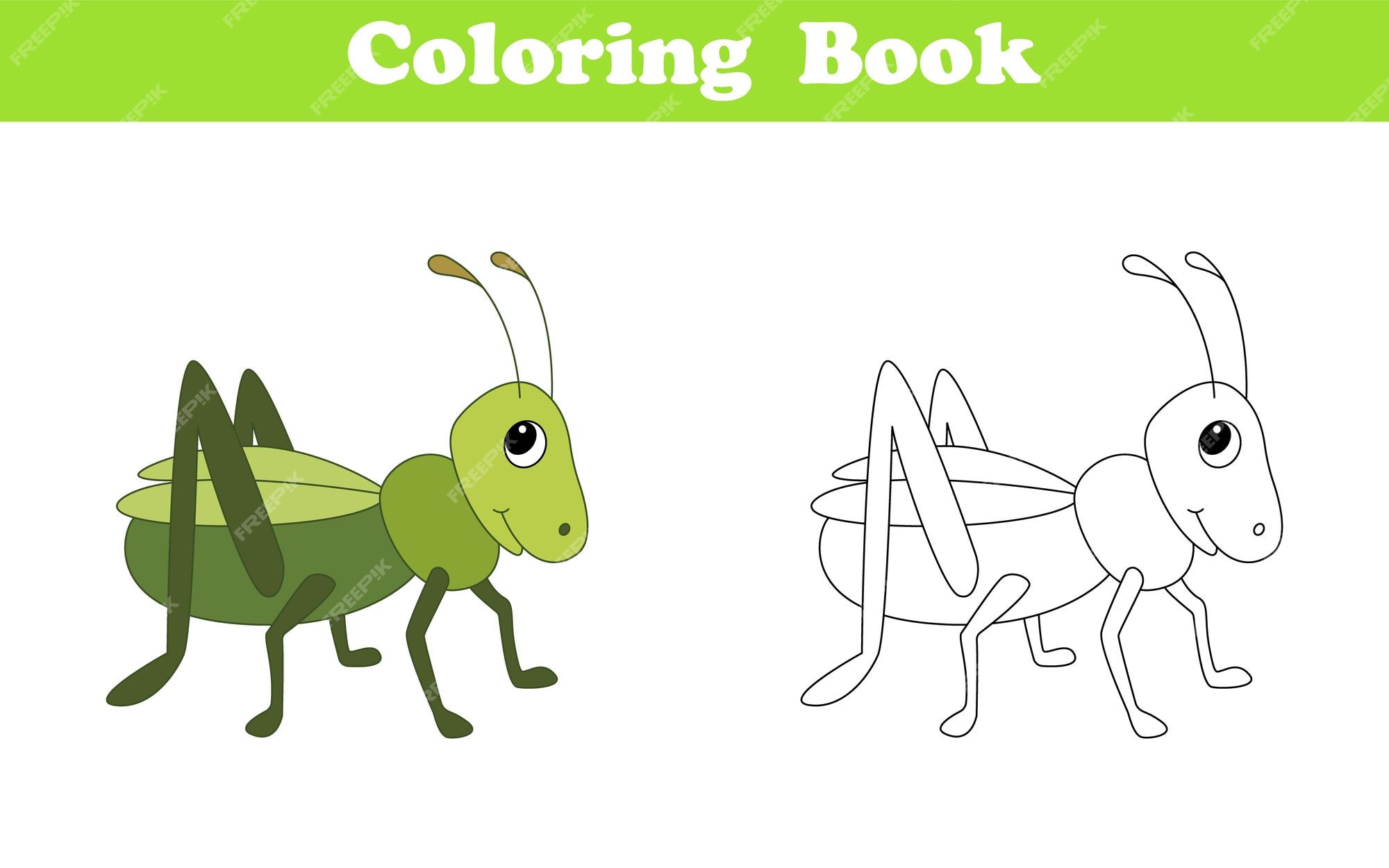 Premium vector grasshopper coloring page coloring book for children with colorful grasshopper and sketch to color