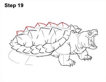 How to draw an alligator snapping turtle