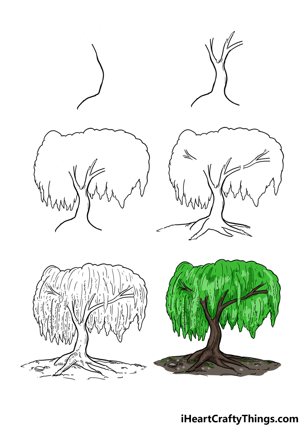How to a willow tree step by step