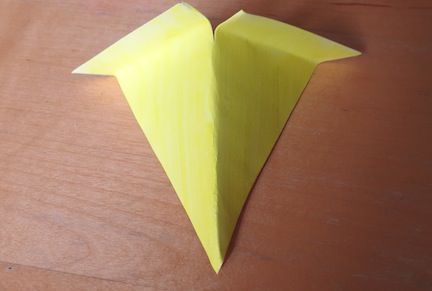 Paper plate bird mask