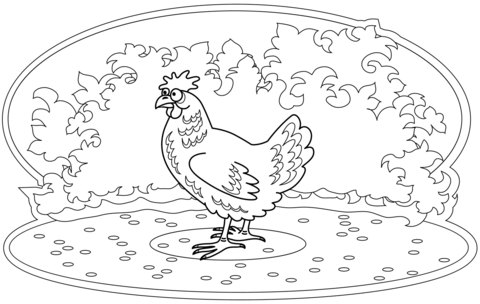 Chicken coloring page free printable coloring pages