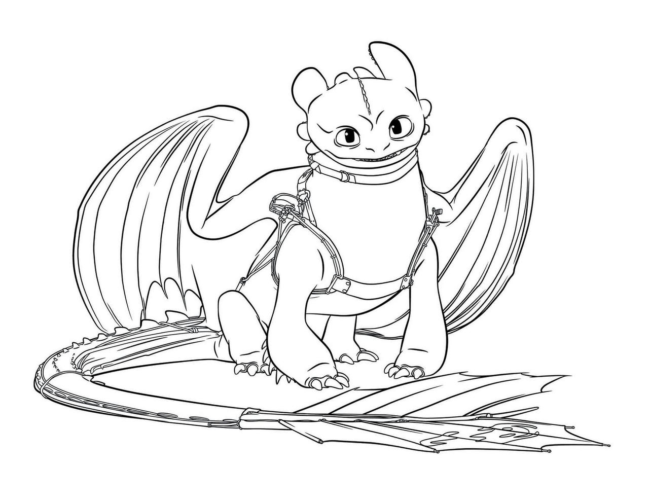 How to train your dragon by coloringpageswk on