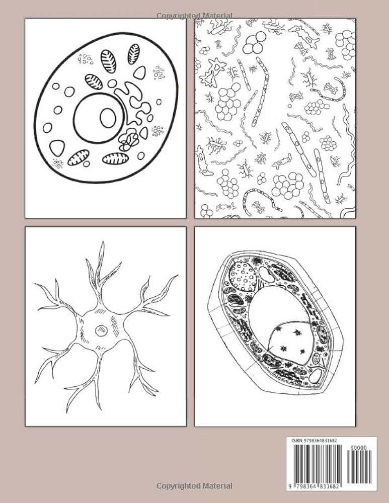 Human cell coloring book fabulous coloring pages features beautiful illustrations for adults relaxation and stress relieving world painting books