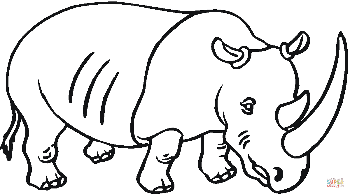 Rhinoceros